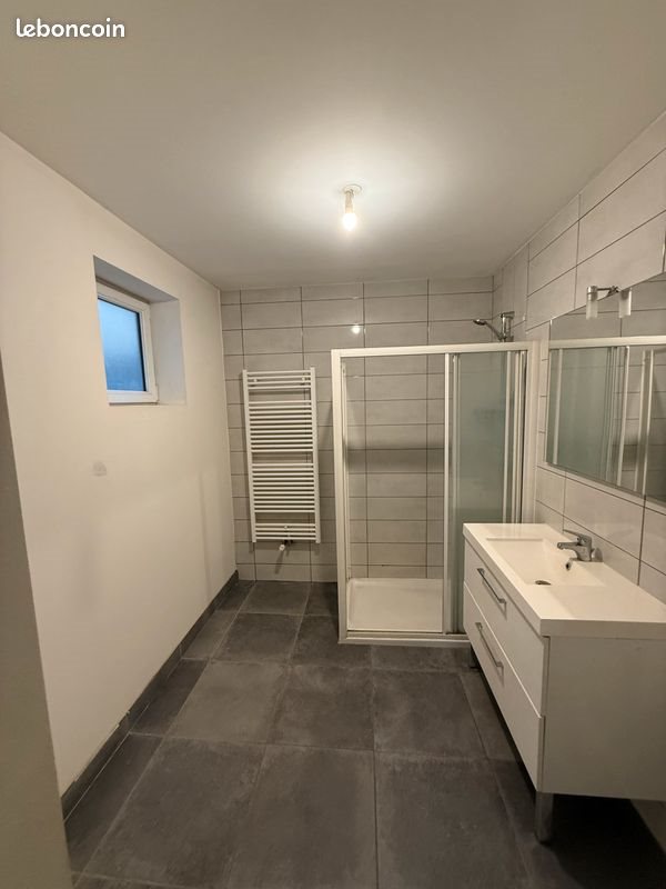 Appartement à louer, 58m², Roanne