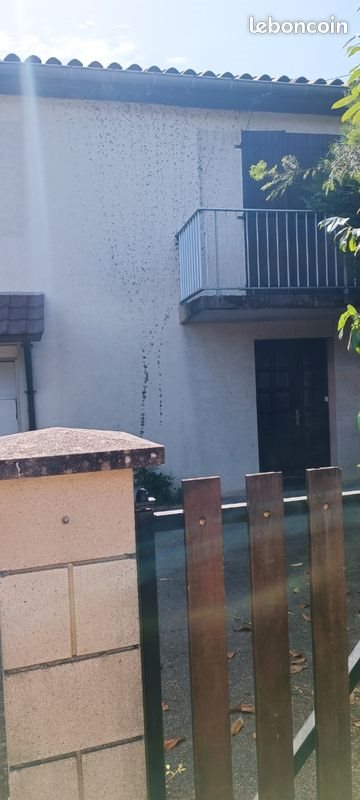 Maison à louer, 100m², Tournus