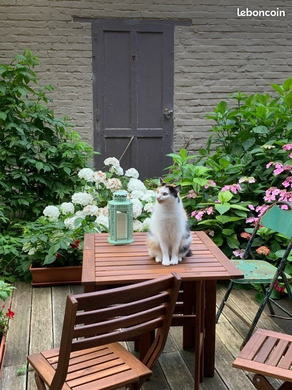 Appartement à louer, 55m², La Madeleine