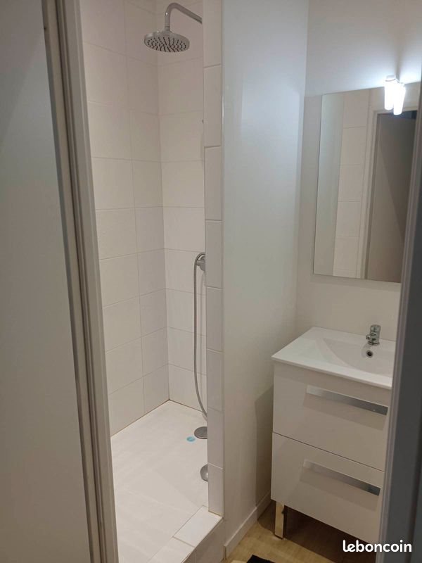 Appartement à louer, 23m², Saint-Étienne
