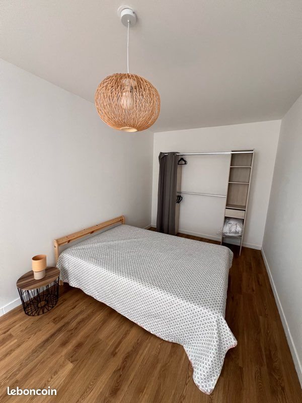 Appartement à louer, 48m², Saint-Etienne