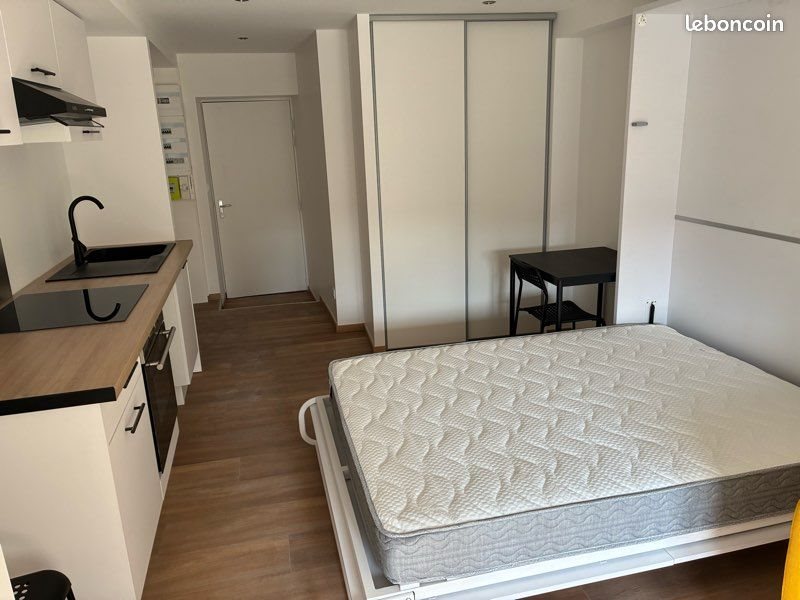Appartement à louer, 25m², Saint-Etienne