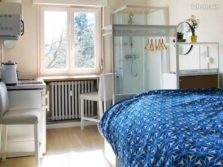 Appartement à louer, 12m², Mulhouse