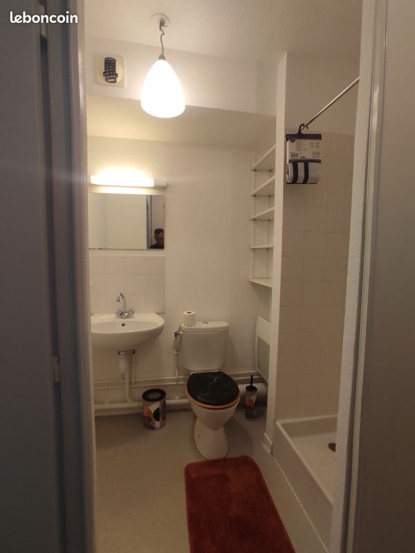 Appartement à louer, 25m², Le Mans