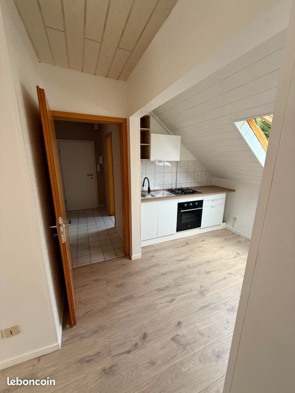 Appartement à louer, 45m², Sarreguemines