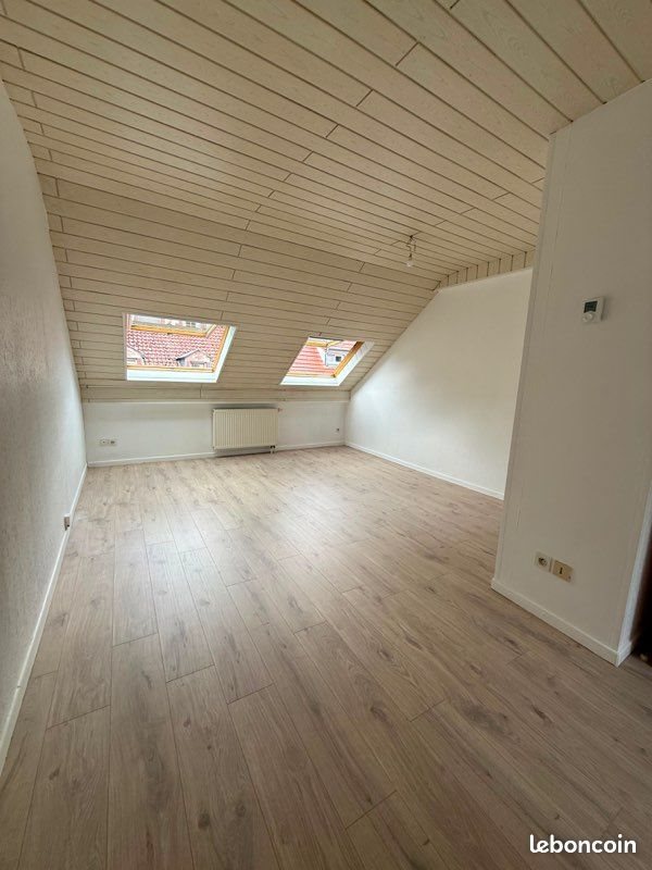 Appartement à louer, 45m², Sarreguemines