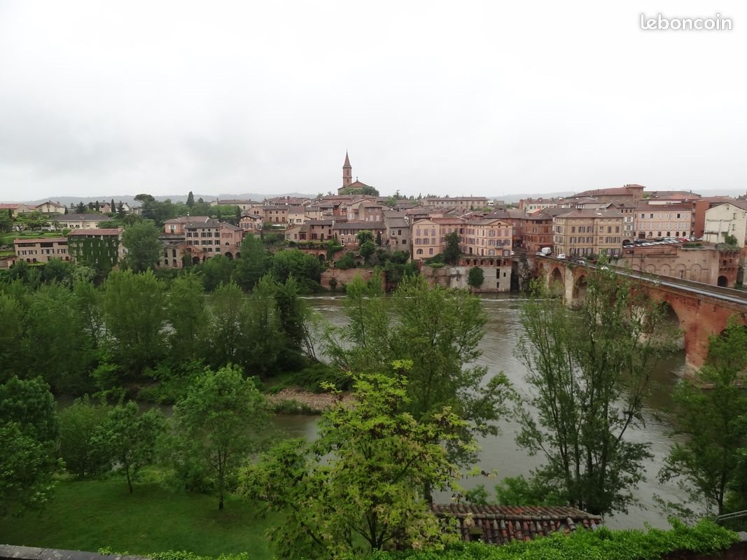 Appartement à louer, 30m², Albi