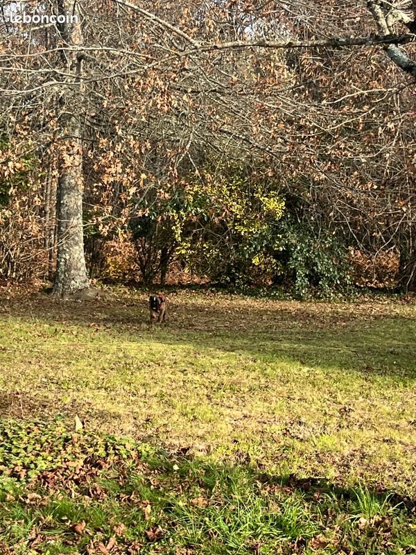 Maison à vendre, 150m², Milly-la-Forêt