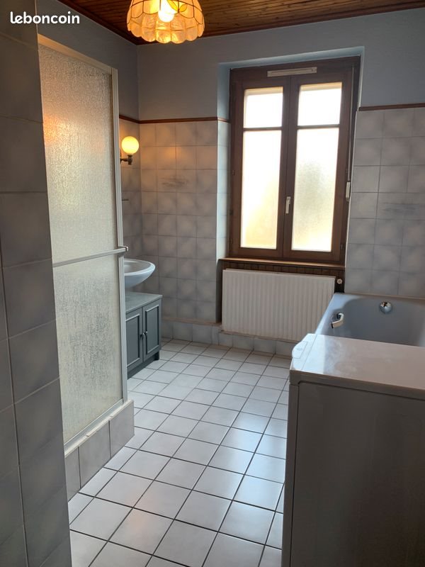 Appartement à louer, 53m², Schiltigheim