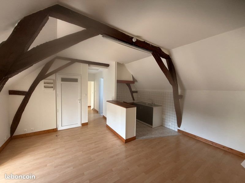 Appartement à louer, 35m², Chinon