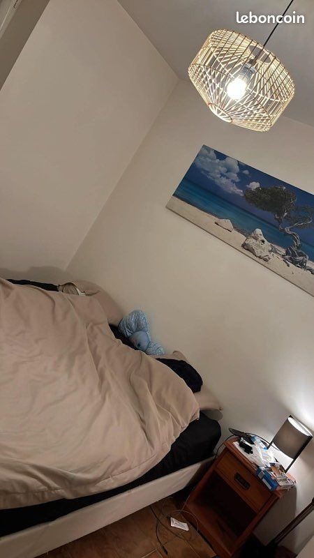 Appartement à louer, 38m², Lanmeur