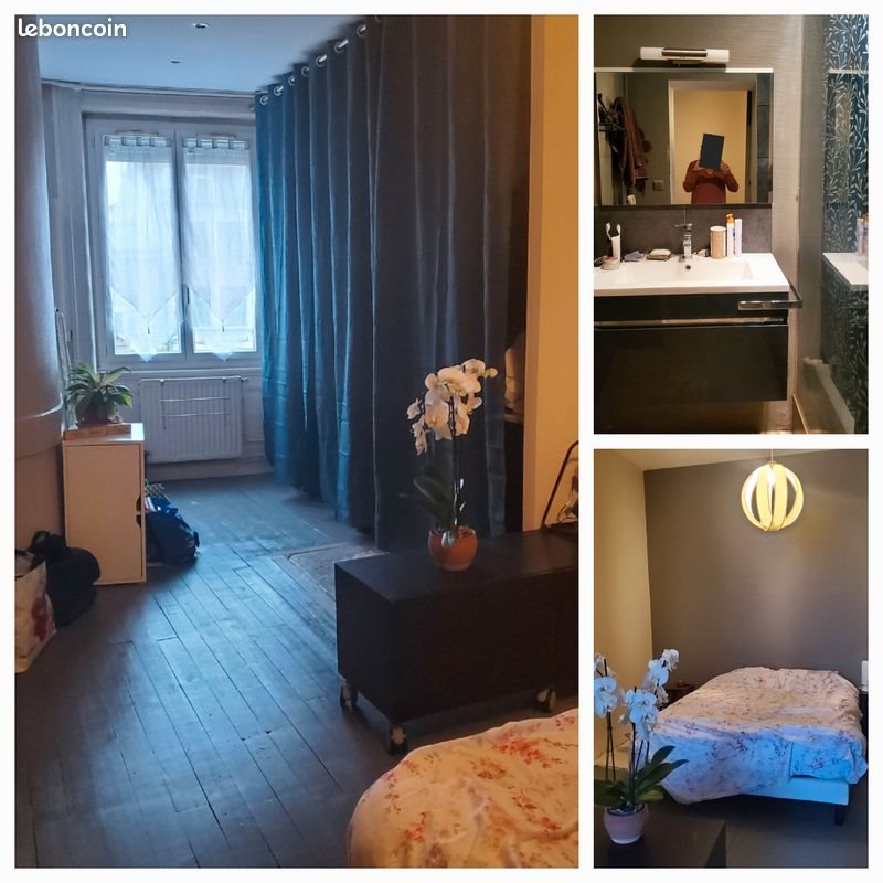 Appartement à louer, 57m², Saint-Etienne