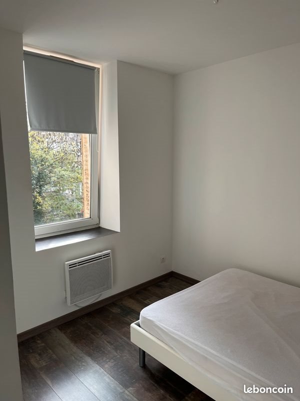 Appartement à louer, 39m², Nancy