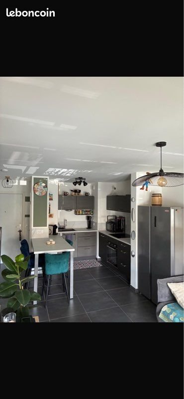 Appartement à louer, 44m², Voglans