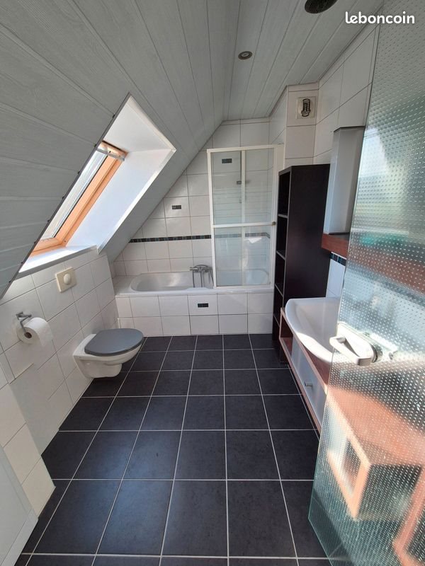 Appartement à louer, 66m², Hégenheim