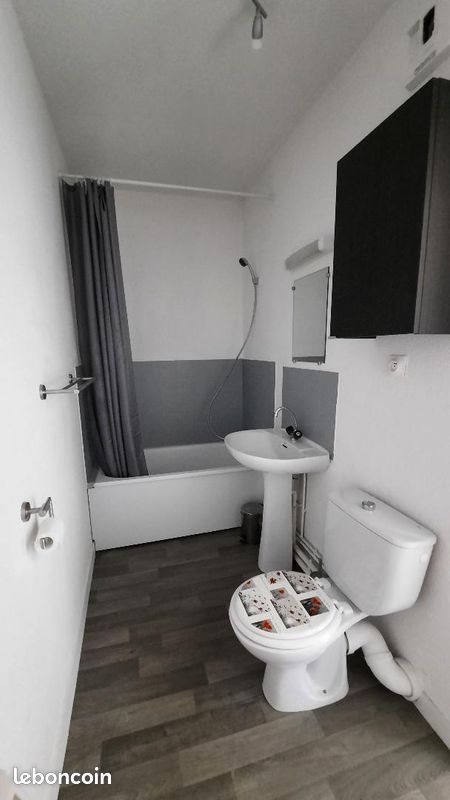 Appartement à louer, 20m², Saint-Etienne