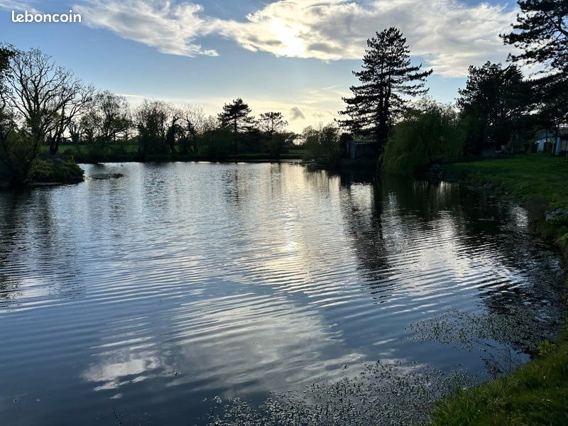 Maison à vendre, 250m², Saint-Julien-des-Landes
