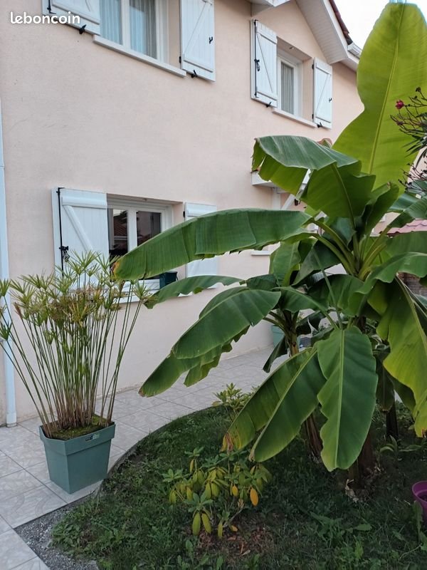 Maison à vendre, 127m², Eysines