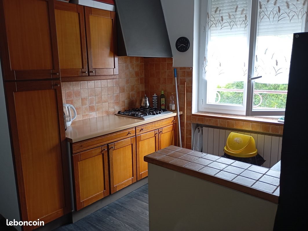 Appartement à louer, 53m², Villeurbanne