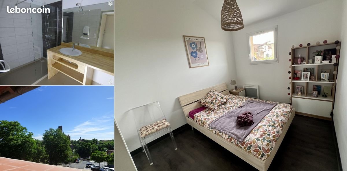 Appartement à louer, 55m², Albi