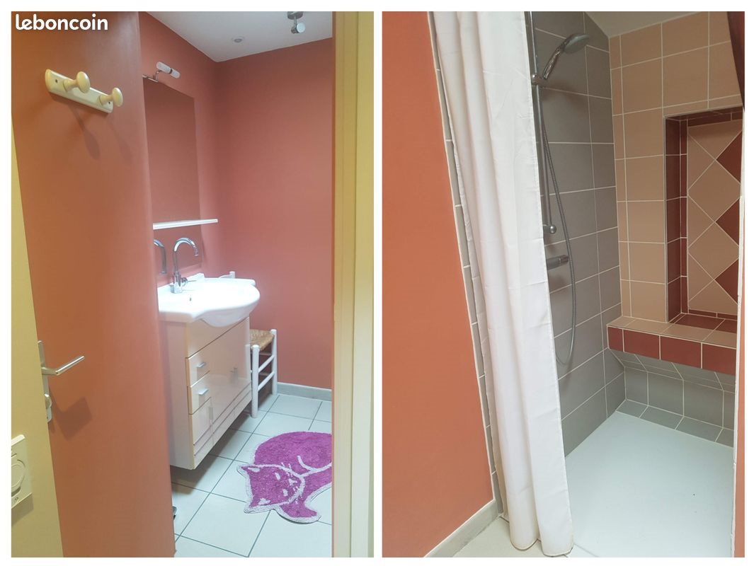 Appartement à louer, 36m², Chazelles-sur-Lyon