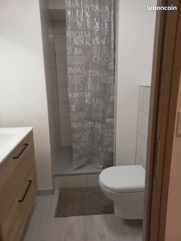 Appartement à louer, 36m², Moûtiers