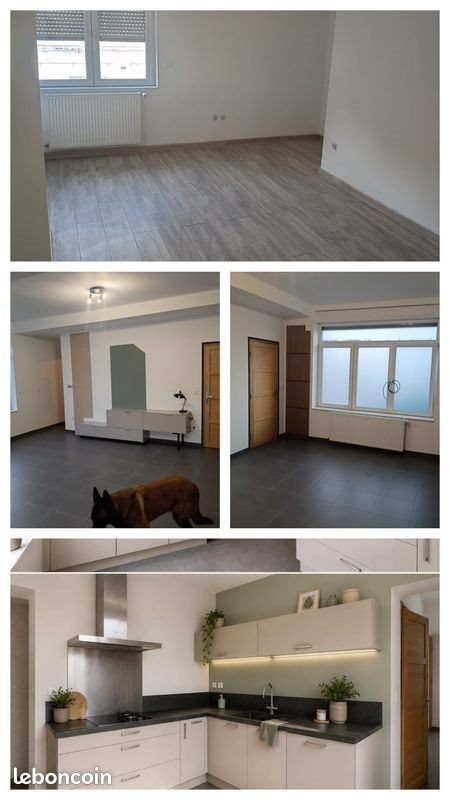 Maison à louer, 100m², Lille