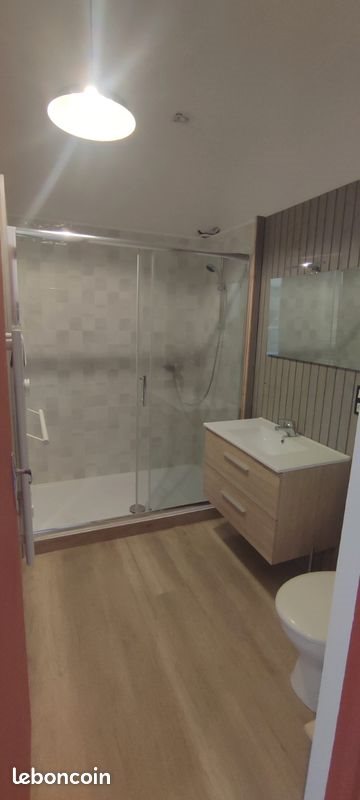 Appartement à louer, 43m², Saint-Paul-le-Jeune