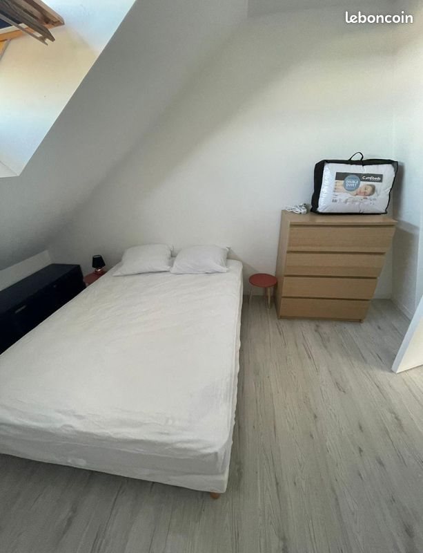 Appartement à louer, 45m², Angers