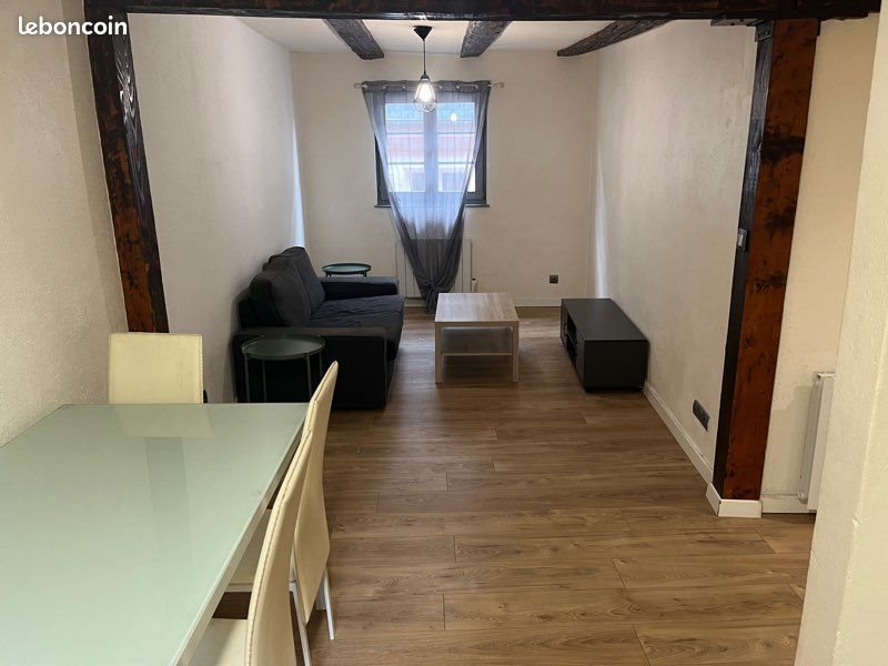 Appartement à louer, 35m², Colmar