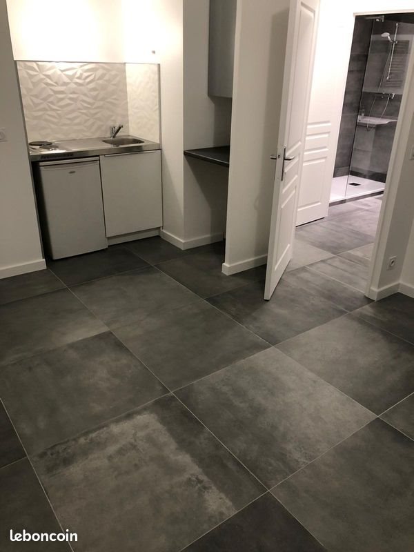 Appartement à louer, 38m², Villeurbanne
