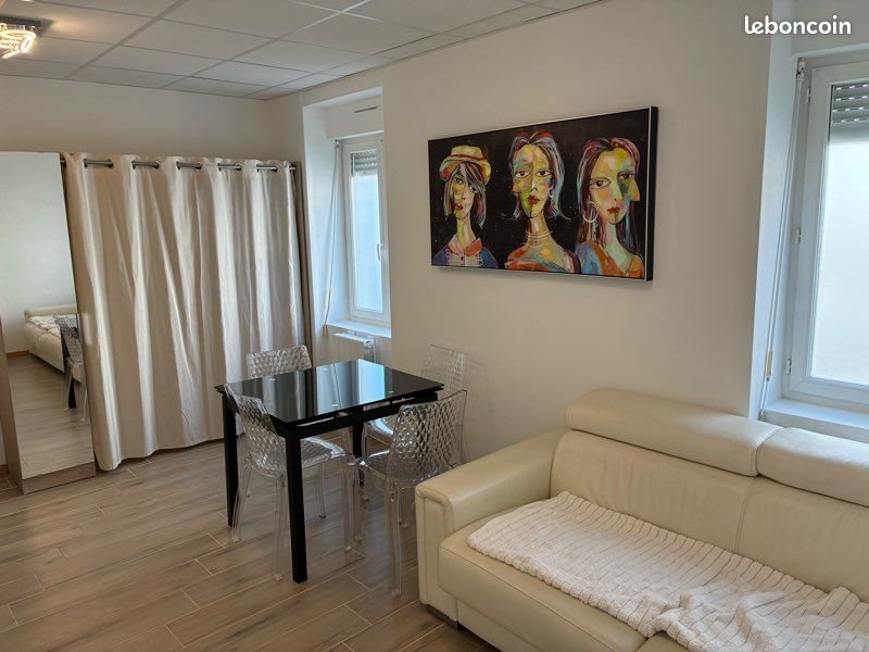Appartement à louer, 40m², Roanne