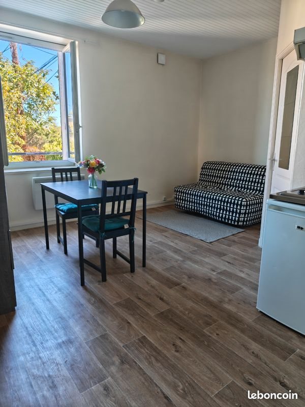 Appartement à louer, 17m², Bron