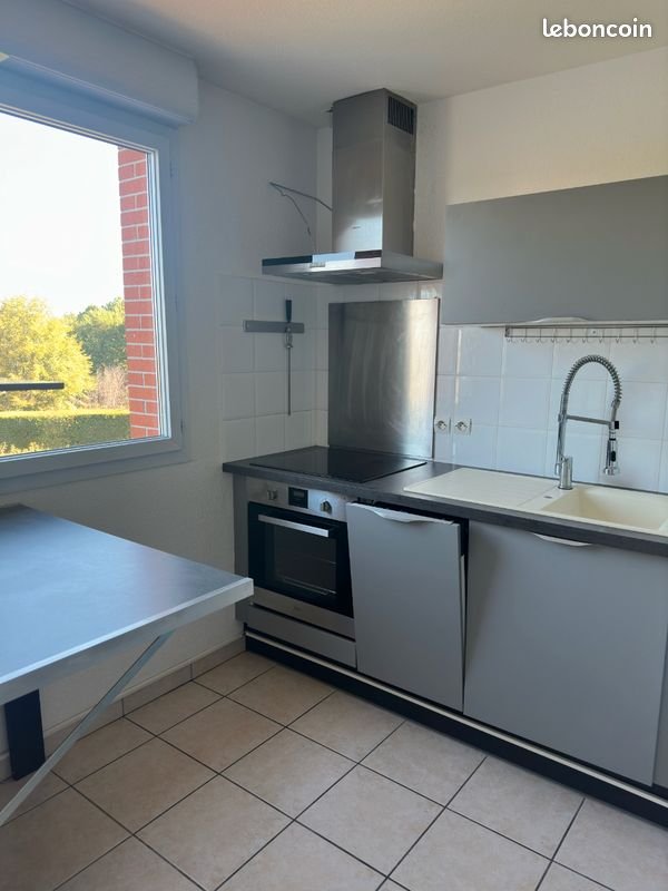 Appartement à louer, 46m², Fonsorbes