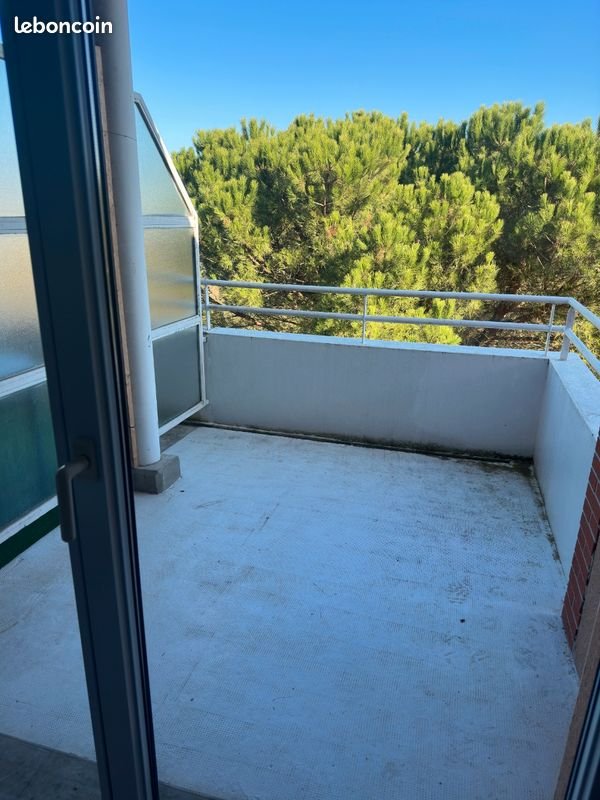 Appartement à louer, 46m², Fonsorbes