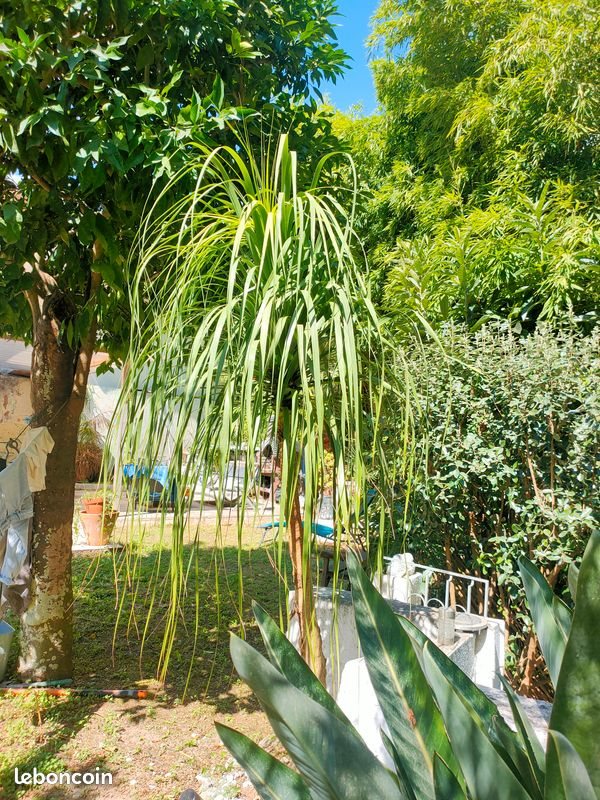 Maison à vendre, 75m², Menton