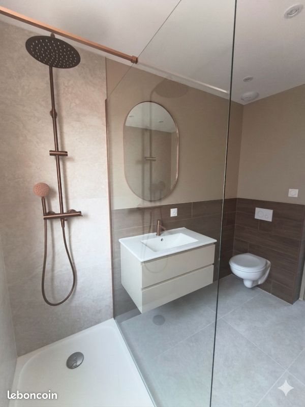 Appartement à louer, 50m², Saint-Étienne