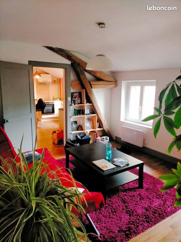 Appartement à louer, 54m², Nancy