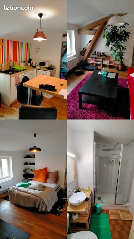 Appartement à louer, 54m², Nancy