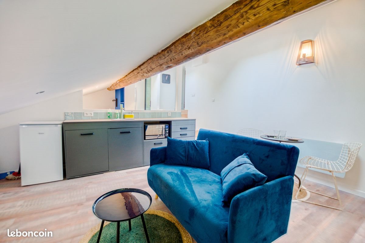 Appartement à louer, 15m², Saint-Etienne