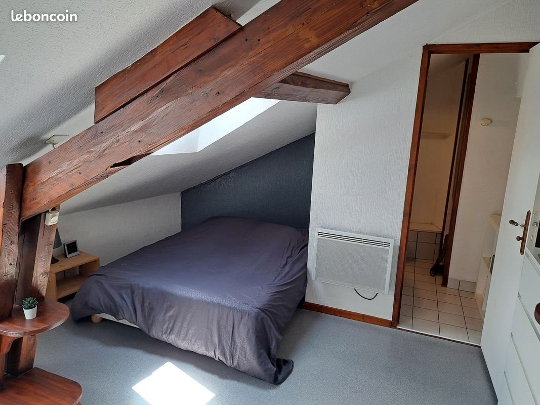Appartement à louer, 25m², Saint-Etienne