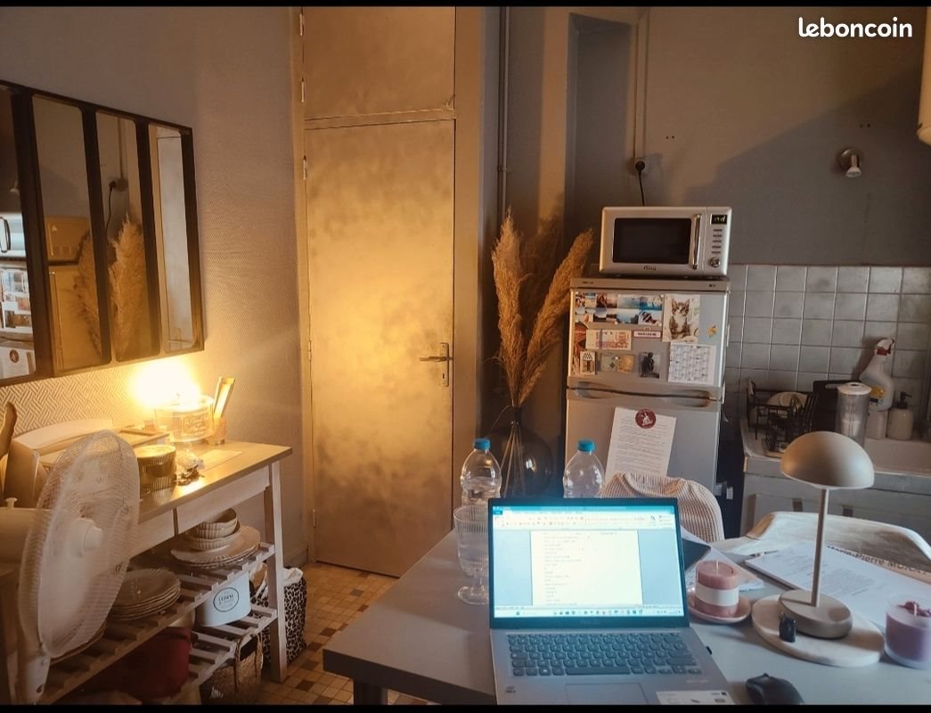 Appartement à vendre, 36m², Villeurbanne