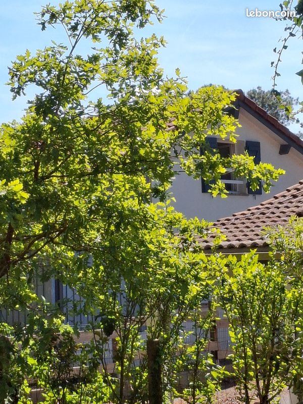 Maison à vendre, 62m², Gujan-Mestras