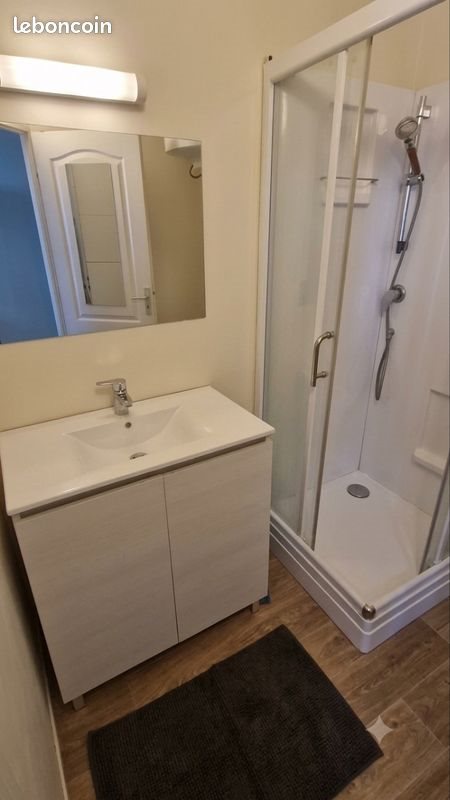 Appartement à louer, 17m², Bron
