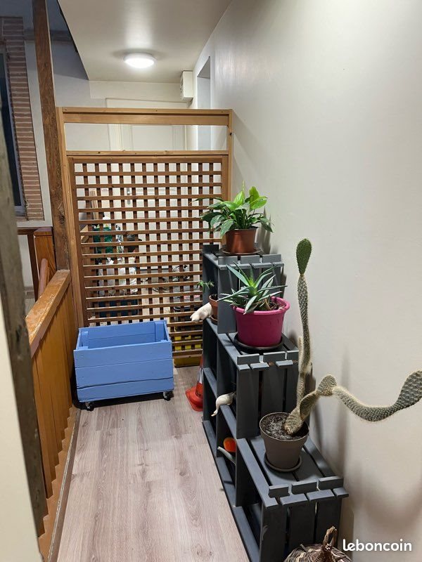 Appartement à louer, 71m², Beaumont-de-Lomagne