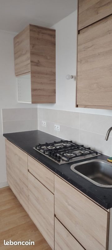 Appartement à louer, 25m², Roanne