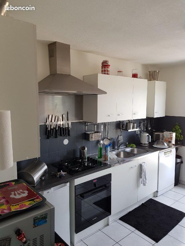 Appartement à louer, 54m², Lyon 7ème