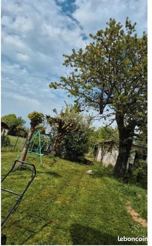 Advert pic 0