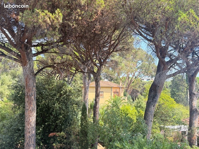 Appartement à louer, 43m², Cavalaire-sur-Mer
