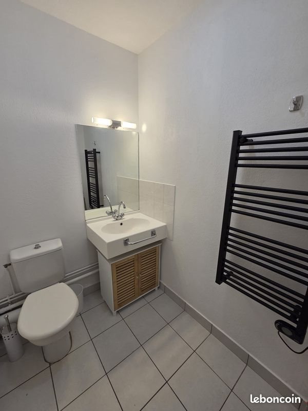Appartement à louer, 19m², Saint-Etienne